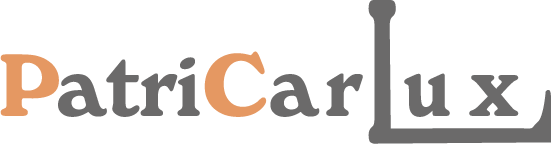 location véhicule avec chauffeur Paris : voiture haut de gamme - PatriCarLux